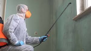 Mold Remediation for Vacation Homes in Dresden, OH